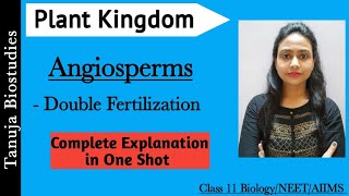 Angiosperms  Complete Explanation  Double Fertilization Plant KingdomClass 11 BiologyNEETAIIMS [upl. by Wilinski409]