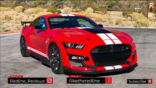 The 2020 Ford Mustang Shelby GT500 Would Make Carroll Shelby Proud [upl. by Yatnahc257]