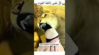 Kullu nafsin zaikatul Abdul Rahman Mossad quran youtubeshortsviralvideo [upl. by Sherill]