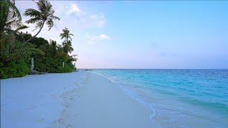 Gentle Waves on The Best Beach in Maldives Ocean Ambience 4K [upl. by Nabla]