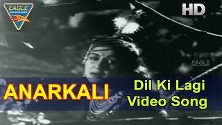 Anarkali Hindi Movie  Dil Ki Lagi Video Song  Pradeep Kumar Bina Rai  Eagle Hindi Movies [upl. by Latsyrcal958]