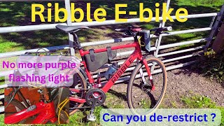 Can you derestrict a Ribble ebike  purple fault light gone [upl. by Akoek766]