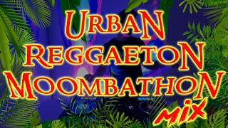 Urban Reggaeton Moombahton Live Set  DJ Smack Delicious [upl. by Alexine]