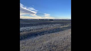 Prairie Weather this Week  Southern Alberta  November 18 [upl. by Nnaerb]