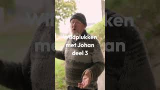 🌿 Wildplukken met Johan  Deel 3🌿 [upl. by Nwatna861]