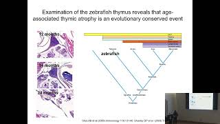 Tuesday Talks Why public engagement amp representation in science matters [upl. by Alcus]