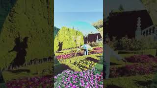 Le Jardin D’Amour – Bana Hills Flower Garden’s Paradisetrendingshorts [upl. by Desta487]