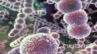 Streptococcus Pneumoniae Hybrid Medical Animation [upl. by Corene262]