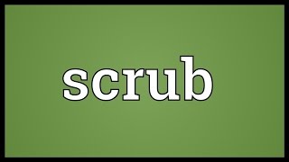 Scrub Meaning [upl. by Illek]