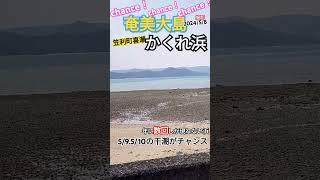 奄美大島 マボロシのかくれ浜見れるチャンス🫲🤣2024年5月9日13時48分と、10日も見れそうよ〜🤣 [upl. by Hgielrahc]