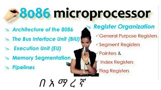 8086 microprocessors in Microprocessor and Assembly language programming Chapter 2 በአማረኛ [upl. by Fitton822]