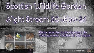 Night Stream November 30th 2024  Bird Feeders Wildlife Cameras Scotland UK from SWG [upl. by Dagnah]