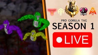 BB vs PP  Pro Gorilla Tag Scrim [upl. by Saylor828]