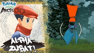 Alpha Zubat Has No Red Eyes Pokemon Legends Arceus Funny Moments [upl. by Yendys482]