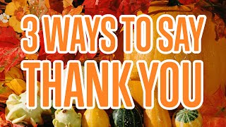 3 Ways to Say Thank You in Czech [upl. by Rebba]