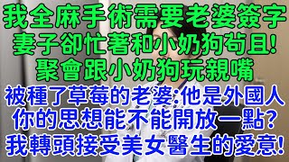 我沒鬧，離婚後她卻哭紅了眼！我全麻手術需要老婆簽字同意，夜不歸家的老婆卻忙著和小奶狗茍且。脖子上被種了草莓的老婆：他是外國人，你的思想能不能開放一點？ 我轉頭接受美女醫生的愛意！ [upl. by Vinay]