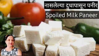 नासलेल्या दुधापासून पनीर ह्या टीप्स वापरुन बनवा डेअरी सारखे पनीर  How to make Paneer at HomePaneer [upl. by Elsinore]