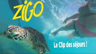 Clip Officiel Zigo [upl. by Ronoh]