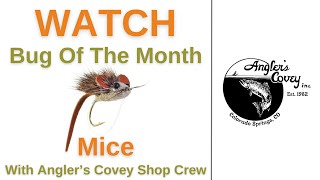 Bug of the Month  Mice flyfishing [upl. by Lattie]