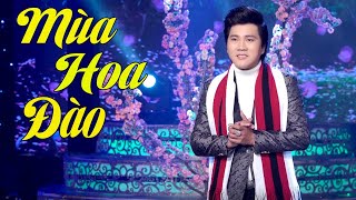 Chuyến Tàu Hoàng Hôn  ĐAN NGUYÊN MV 4K OFFICIAL [upl. by Nosittam]