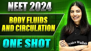 BODY FLUIDS AND CIRCULATION in 1 Shot FULL CHAPTER COVERAGE TheoryPYQs  Prachand NEET 2024 [upl. by Raseta]