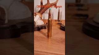 300 Winchester Magnum jagd hunting kaliber Sport militär großwild outdoor longrange [upl. by Octave]