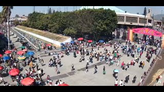 Basilica  Comienza a llenarse para misas envivo [upl. by Resiak]