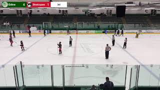 Edina vs Shakopee [upl. by Alia710]