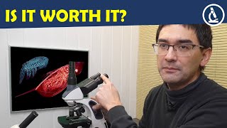 🔬 When is it time to buy a better microscope  Amateur Microscopy [upl. by Kassab]