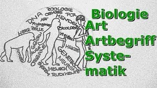 Art  Artbegriff  Systematik [upl. by Osbourne]