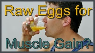 Are Raw Eggs Good for Muscle Gain [upl. by Aihseyk]