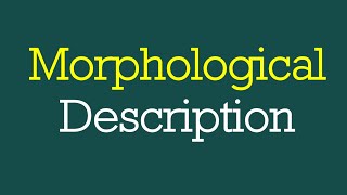 How to Analyze a Sentence Morphologically Morphological Description L8 Morphology [upl. by Drarig]