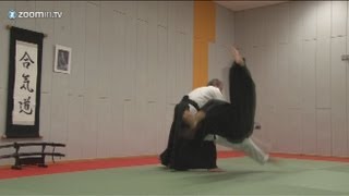 Aikido  Gyaku Hanmi Katate Dori Irimi Nage [upl. by Alliuqaj246]