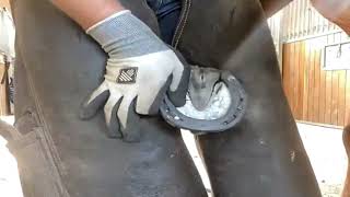 🐴Hoof Cleaning HOOF TRIMMING Horse farm🐴Incredible Horse Hoof Restoration Thrush In Horse Hooves [upl. by Xylia]