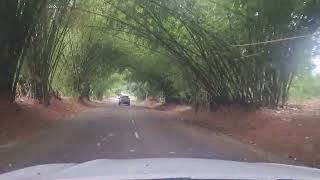 Driving from Lacovia to Middle Quarters in St Elizabeth Jamaica 🇯🇲 during tropical storm Rafael [upl. by Asilet]