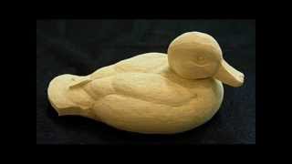 Mini Seminar How to make Decoy [upl. by Rialb564]