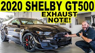 2020 Ford Mustang GT500  SHELBY FIRST LOOK Review amp Exhaust Note [upl. by Annalee]