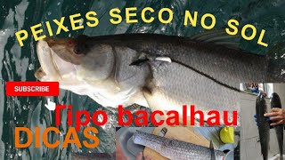 Peixes secodicas para secar com sal ou salmoura veja comigo a melhor forma tipo bacalhau você gosta [upl. by Kerrin]