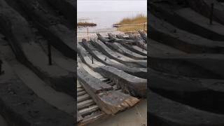 After storm in the Baltic Sea an ancient shipwreck of the17th century washed ashore ship history [upl. by Nicolette]