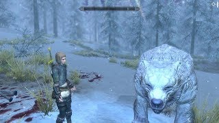 Skyrim mod Rigmor of Cyrodiil 13 Mr Bear come back [upl. by Alexina]