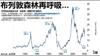 《楊世光在金錢爆》20200410Fed無限開火 黃金無限上漲 石油無限談判 [upl. by Theurich504]