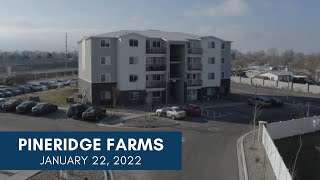 Pineridge Farms Update January 2022 [upl. by Nalced]