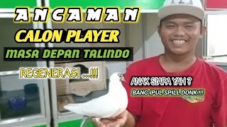 NGERI  NGERI SEDEEEP CALON PENERUS DORI VETERAN BELMEN DI TEAM TALINDO [upl. by Ikkim319]