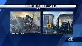 Dog rescued from structure fire involving multiple vehicles fire department says [upl. by Yerag]