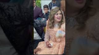 Kanwal aftab wedding kanwalaftab zulqarnainsikander wedding shorts youtubeshorts starworld [upl. by Calysta]