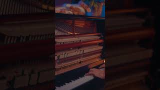 Evgeny Grinko  Lullaby For Erik Solo Piano  Cat [upl. by Innep]