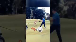 Kangaroo ATTACKS Golfer on Course shorts golf kangaroo [upl. by Anekahs]