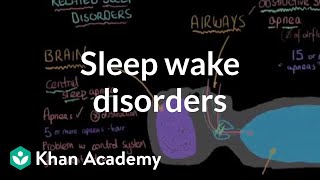 Sleep wake disorders breathing related sleep disorders  Behavior  MCAT  Khan Academy [upl. by Norval]