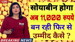 11 सितंबर 2024 सोयाबीन में भारी तेजी Soyabean ka bhav  Soya ka rate Soyabean mandi bhav aaj ka [upl. by Malin915]