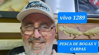 HARINADOS PARA PESCA DE BOGAS Y CARPAS CON HUGO VICICONTE PESCA [upl. by Roberson]